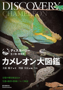 chameleon encyclopedia