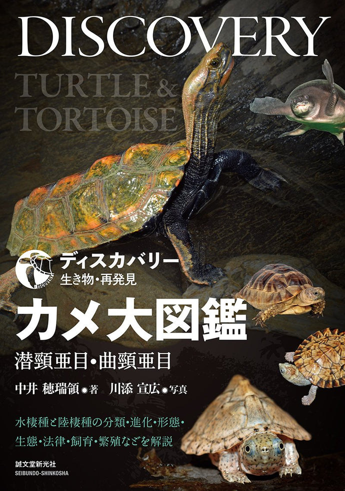 Turtle Encyclopedia