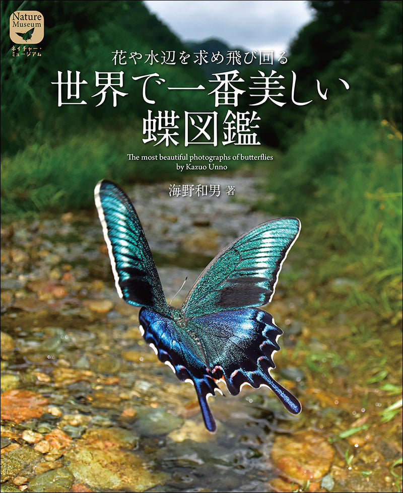 世界で一番美しい蝶図鑑