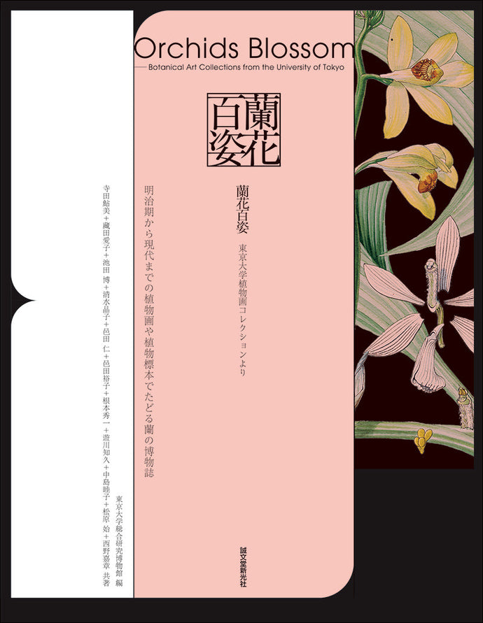 蘭花百姿　東京大学植物画コレクションより