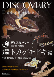 Gecko Encyclopedia Lizard Modoki Edition