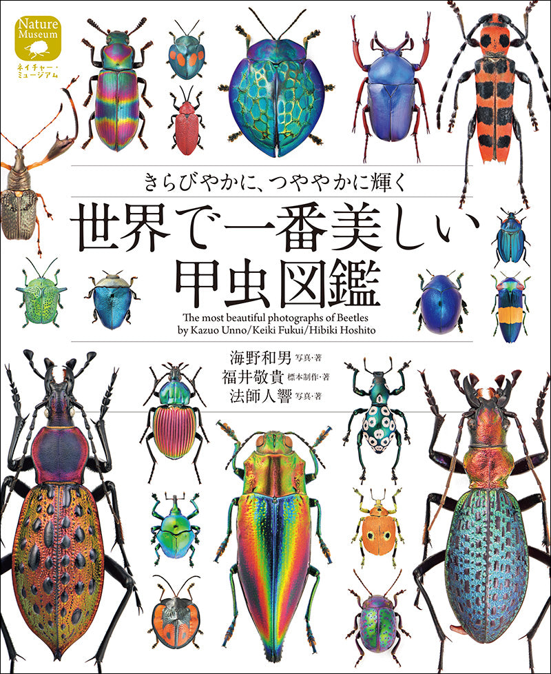 The world's most beautiful beetle encyclopedia