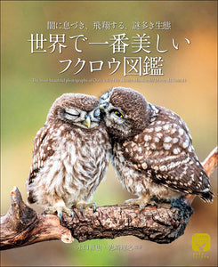 The most beautiful owl picture book in the world