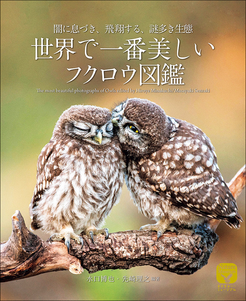 The most beautiful owl picture book in the world