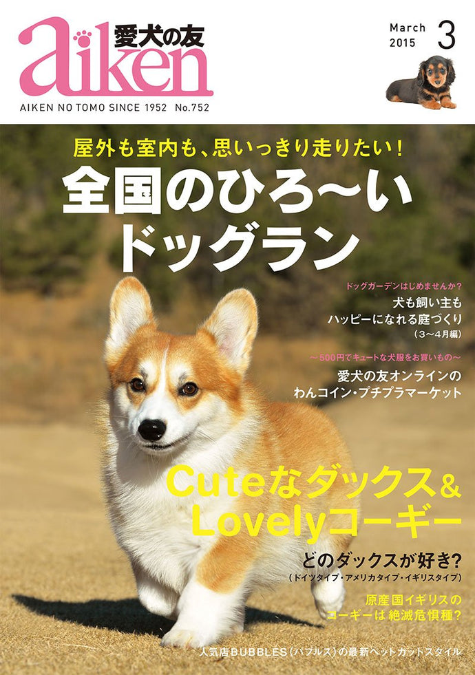 Pet dog friend March 2015 issue