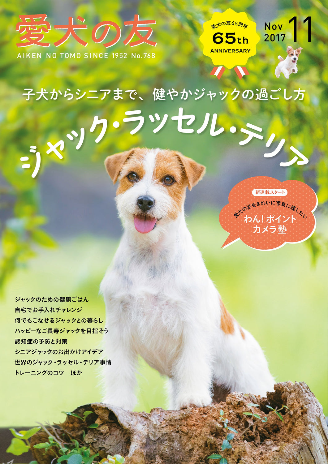 Dog friend November 2017 issue
