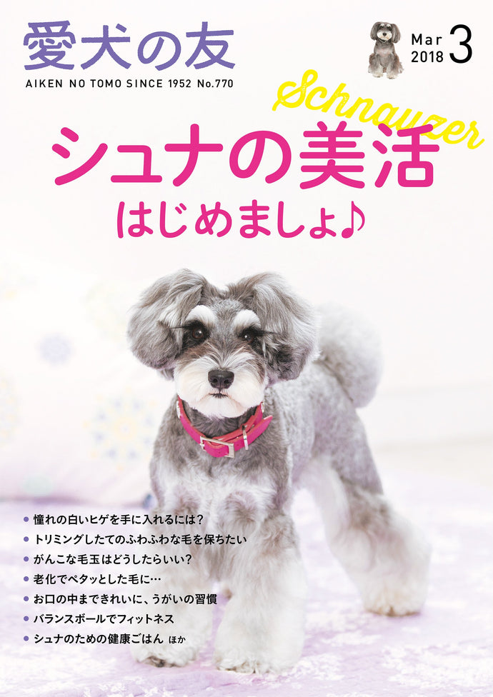 Pet dog friend March 2018 issue