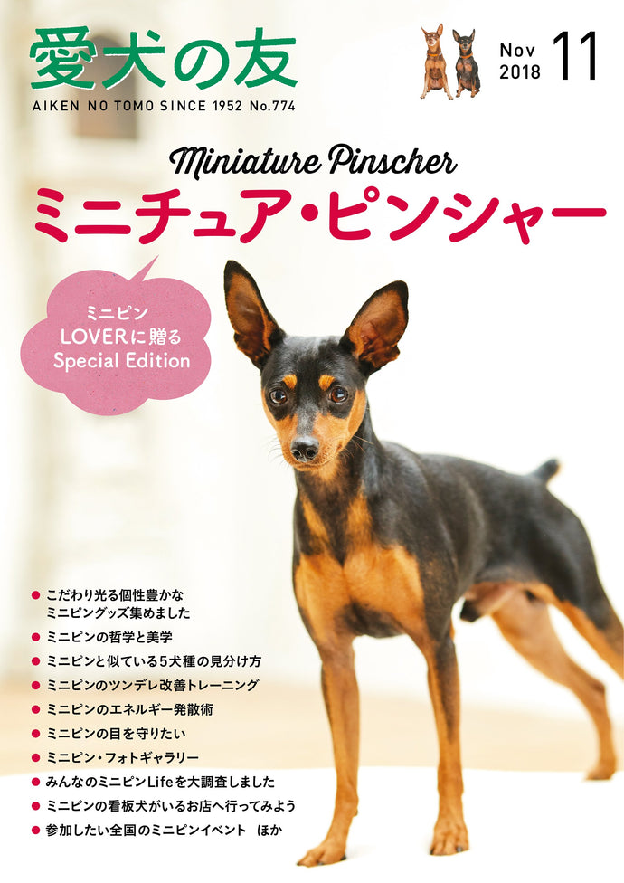 Pet dog friend November 2018 issue
