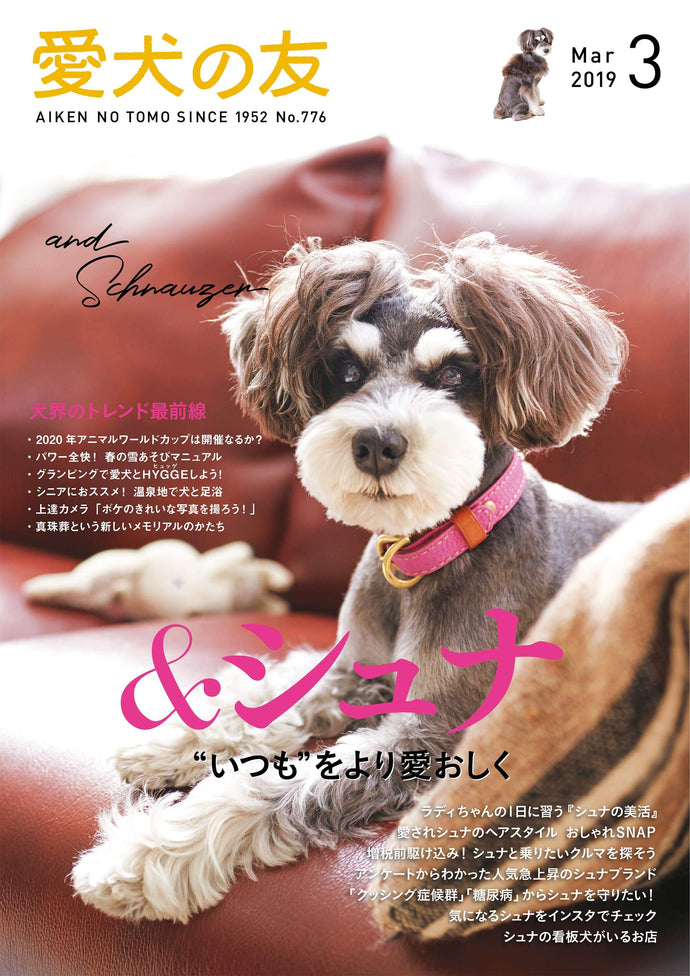 Pet dog friend March 2019 issue
