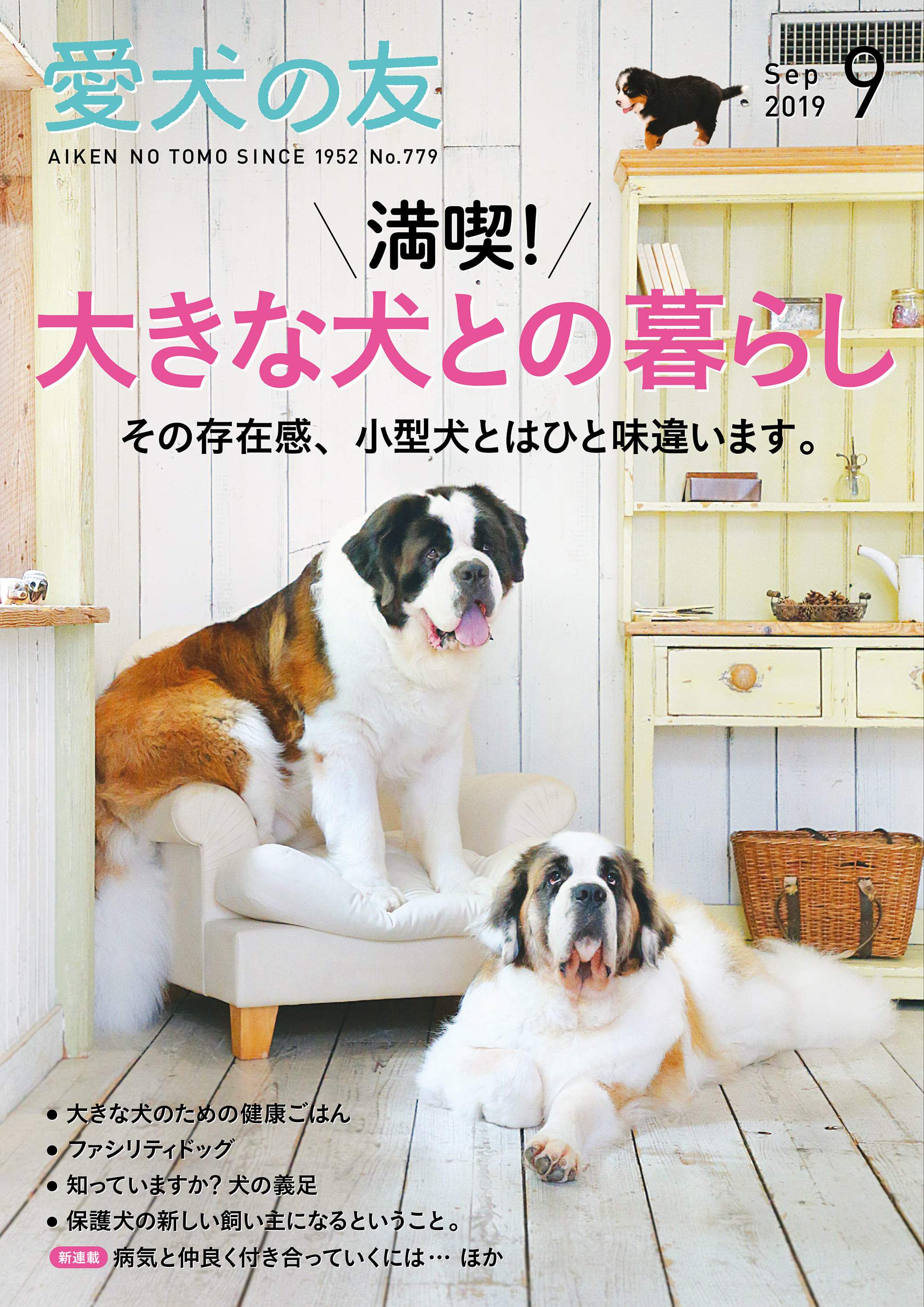 愛犬の友 ２０１９年９月号