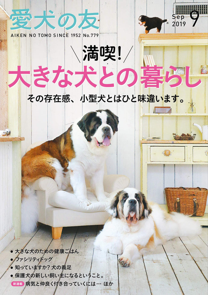 愛犬の友 2019年9月号