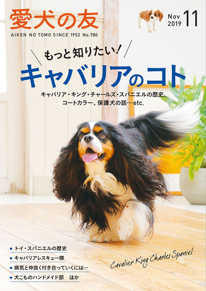 Pet dog friend November 2019 issue
