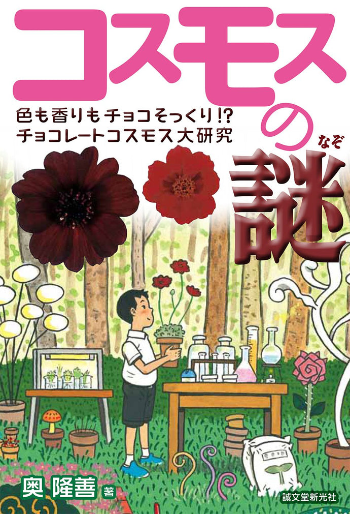 Mystery of the Cosmos