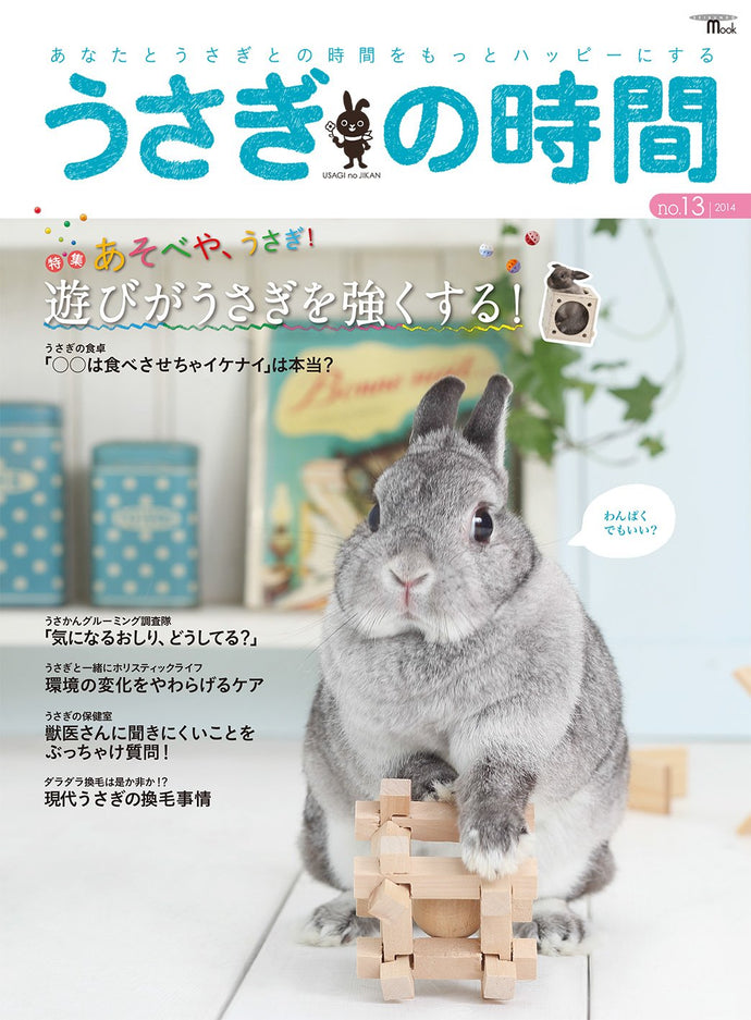 Rabbit Time No.13 Play Makes Rabbits Stronger!