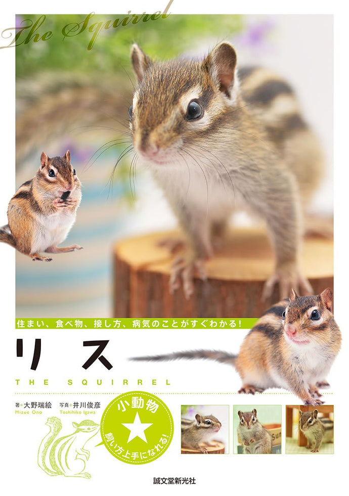 小動物☆飼い方上手になれる！　リス