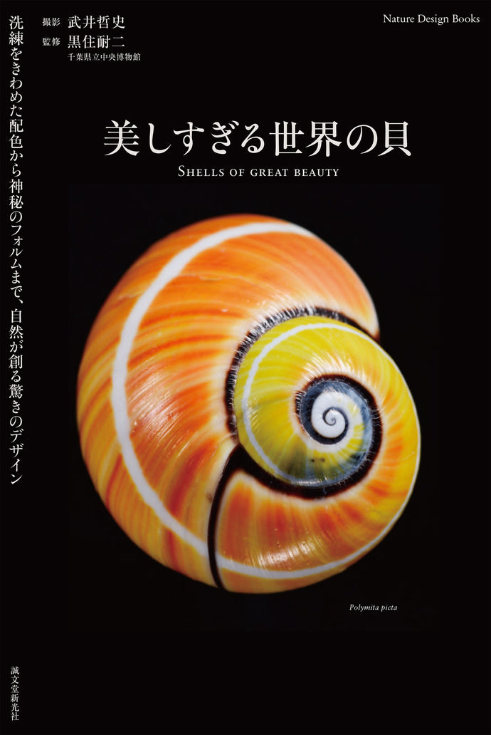 Shellfish of the world that are too beautiful