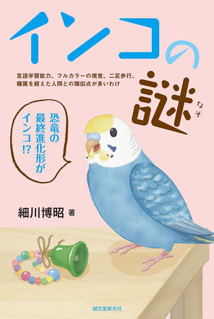 Mystery of the parakeet