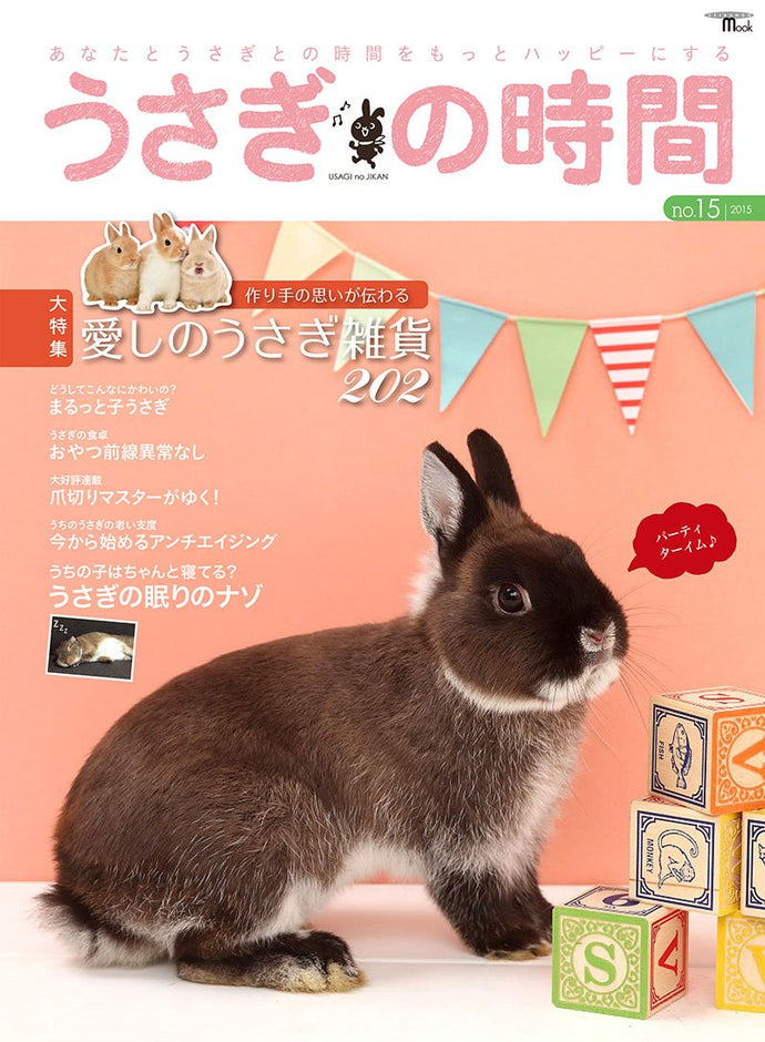 Rabbit Time No.15 Bunny miscellaneous special feature