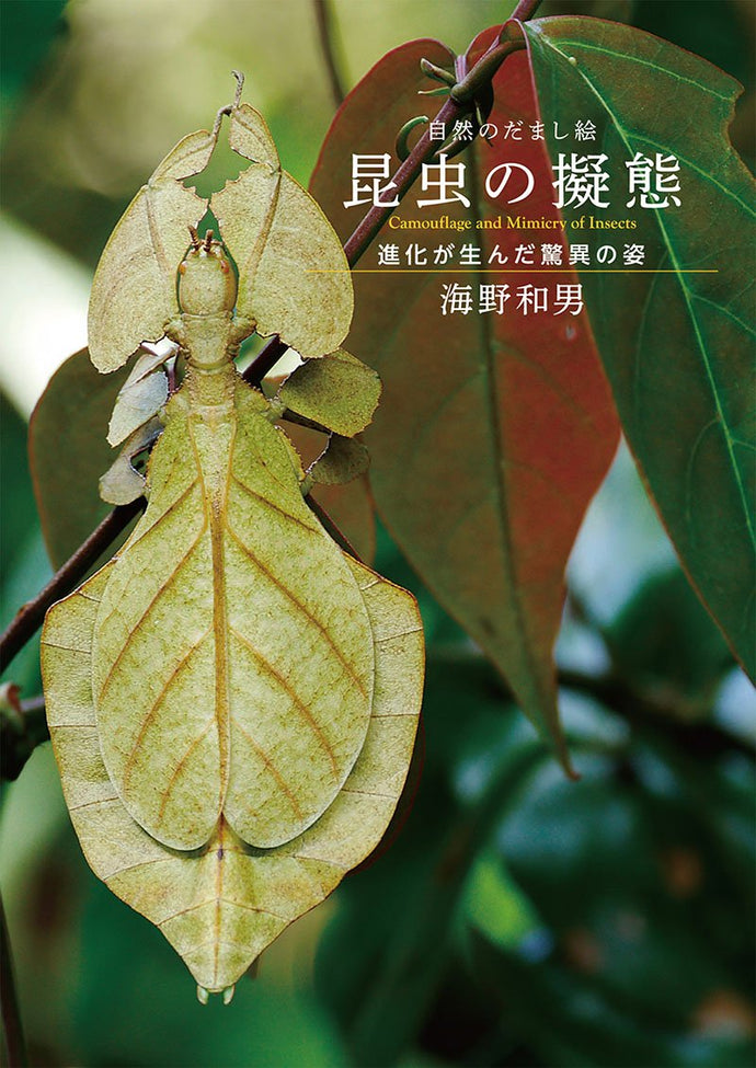 trompe l'oeil of nature mimicry of insects