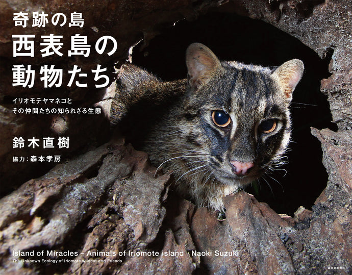 Animals on Iriomote Island, the Miracle Island