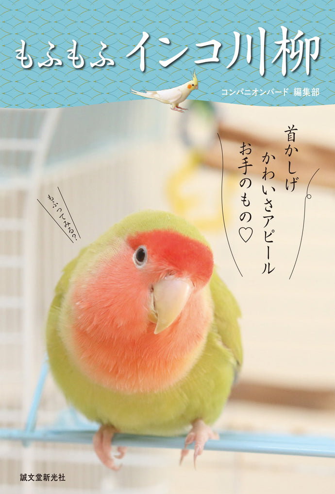 もふもふインコ川柳