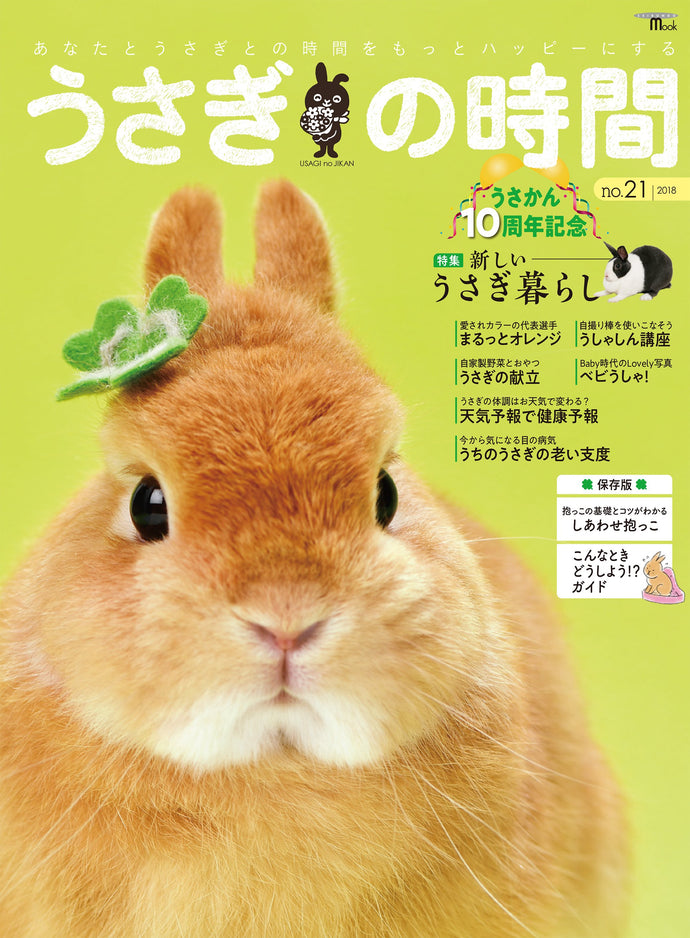 Rabbit time No.21 New rabbit life