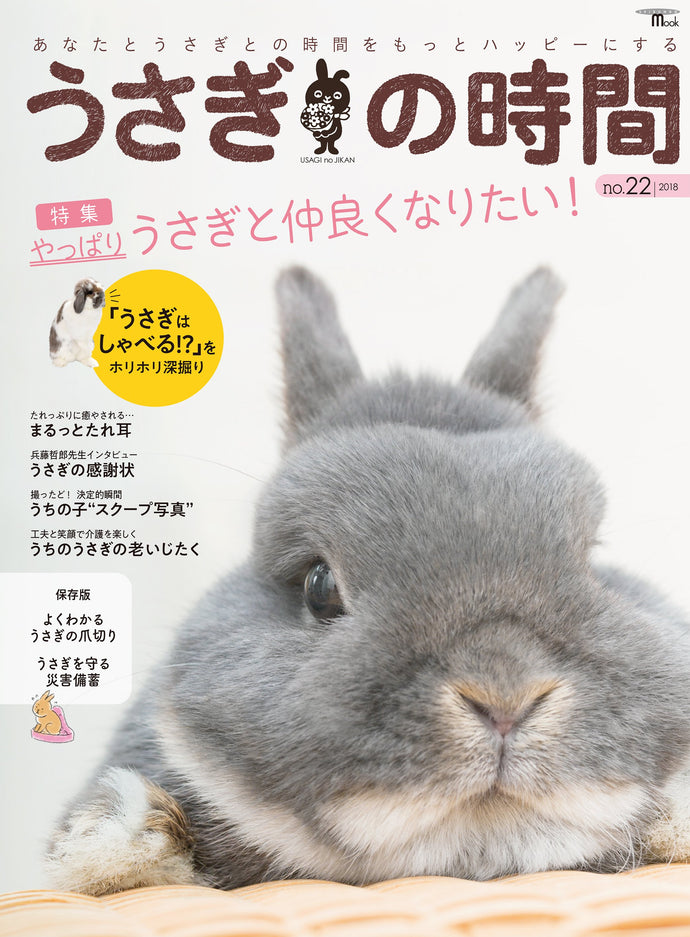 Rabbit Time No.22 I really want to get along with rabbits!