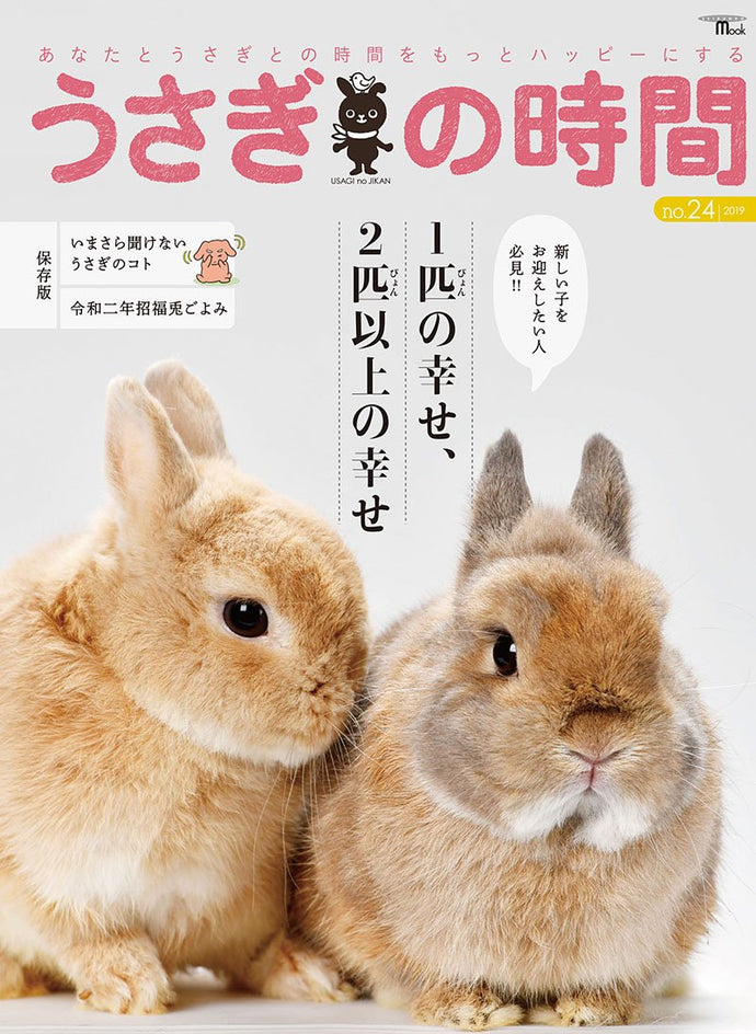 Rabbit Time No.24 One Happiness, Two or More Happiness