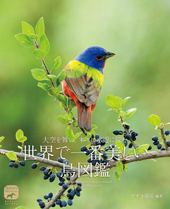 世界で一番美しい鳥図鑑