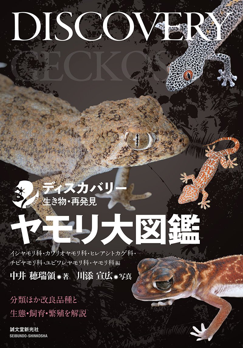 gecko encyclopedia