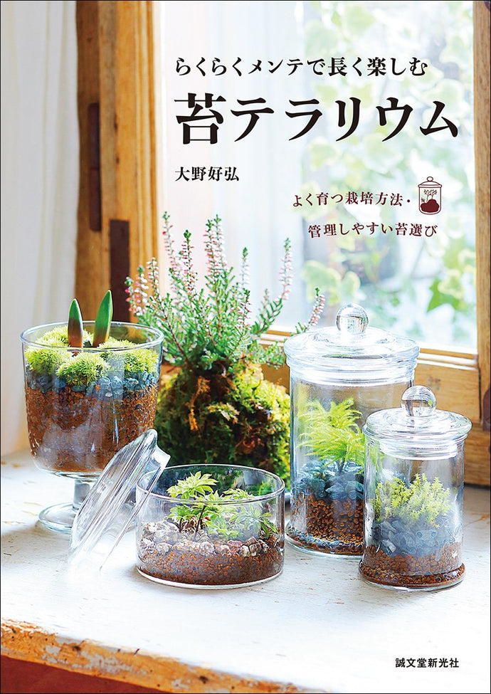 Moss terrariums that can be enjoyed for a long time with easy maintenance