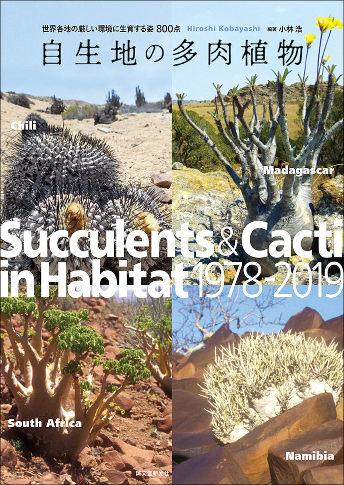 native succulent plant