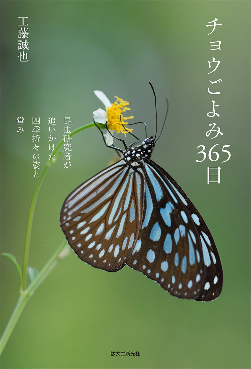 365 days of butterfly reading