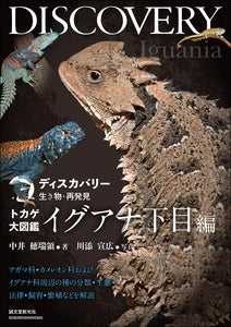 Lizard Encyclopedia Iguana Lower Eye Edition