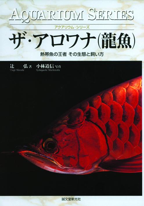 The Arowana (dragon fish)