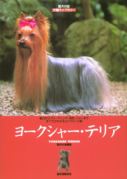 Breed Library Yorkshire Terrier