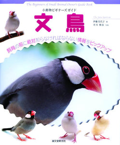 Beginner's guide to small animals Java sparrow
