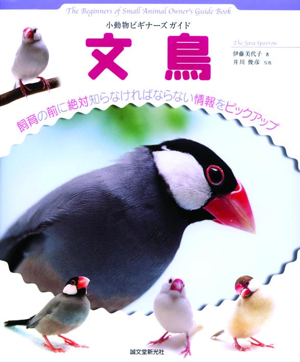 小動物ビギナーズガイド　文鳥