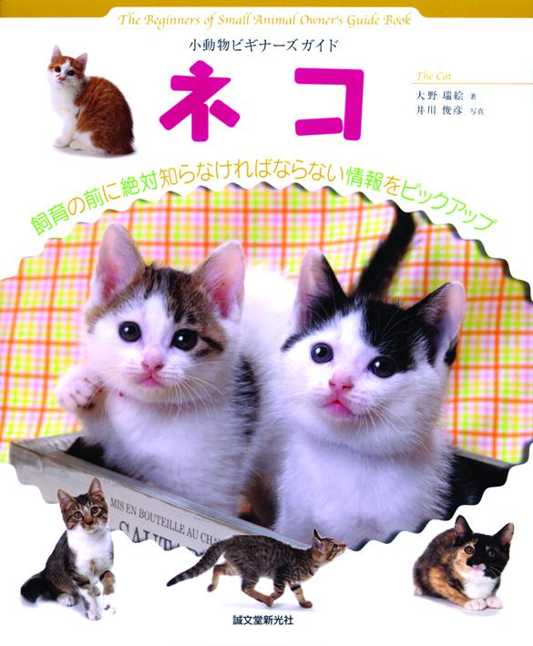 小動物ビギナーズガイド　ネコ