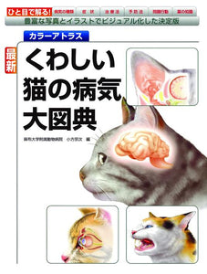 The latest detailed encyclopedia of cat diseases