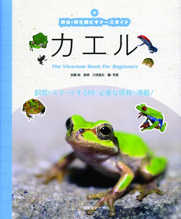 Beginner's Guide to Reptiles and Amphibians Frogs