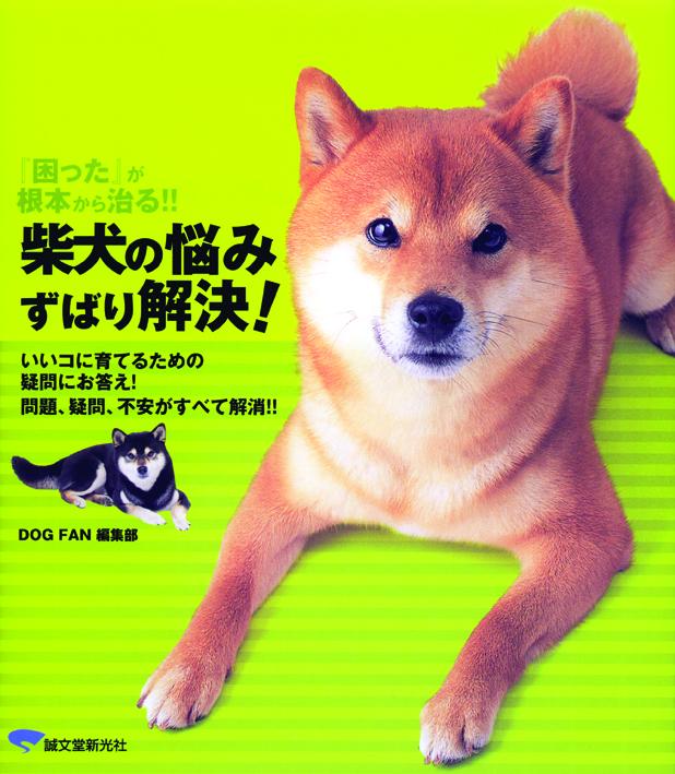 柴犬の悩み　ずばり解決！