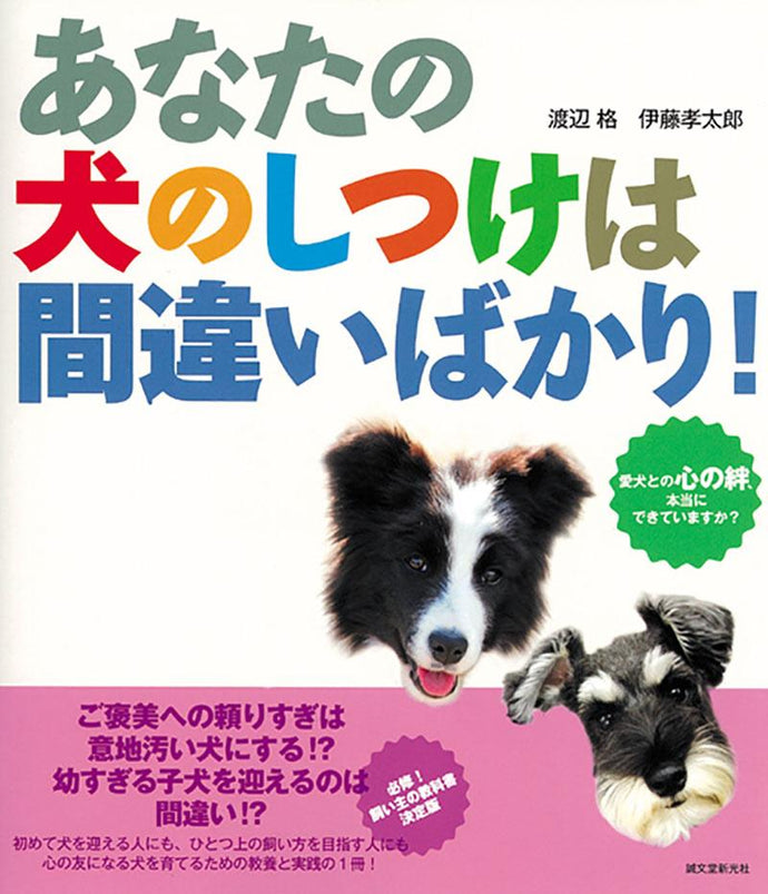 あなたの犬のしつけは間違いばかり