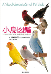 Bird picture book