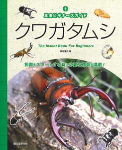 Beginner's Guide to Insects Stag Beetles