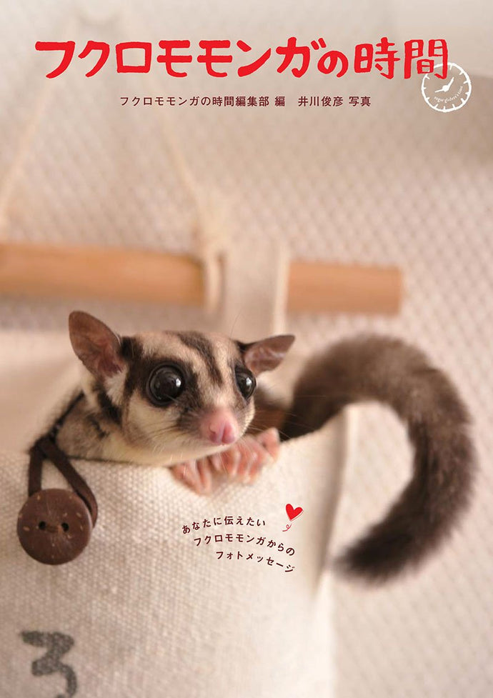 フクロモモンガの時間