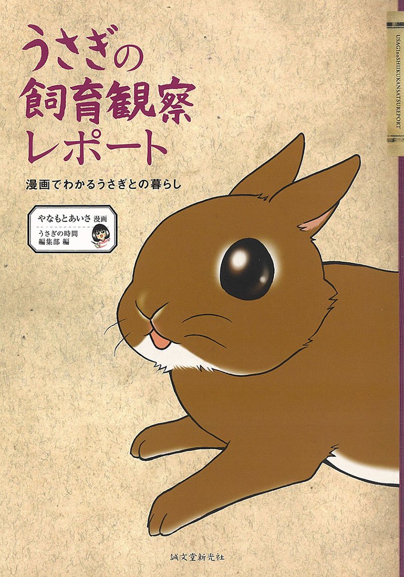 サワダモコ　2015 うさぎにヘッドホン　原画　実作 世界“1作品“ うさぎの飼育観察レポート – 誠文堂の直売所