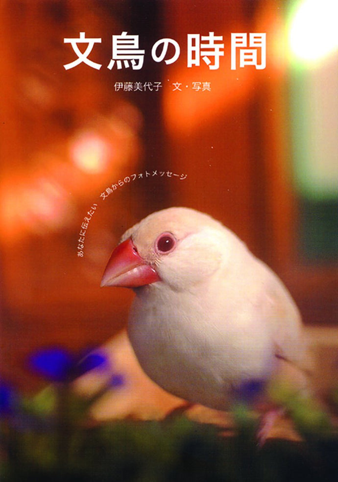 文鳥の時間