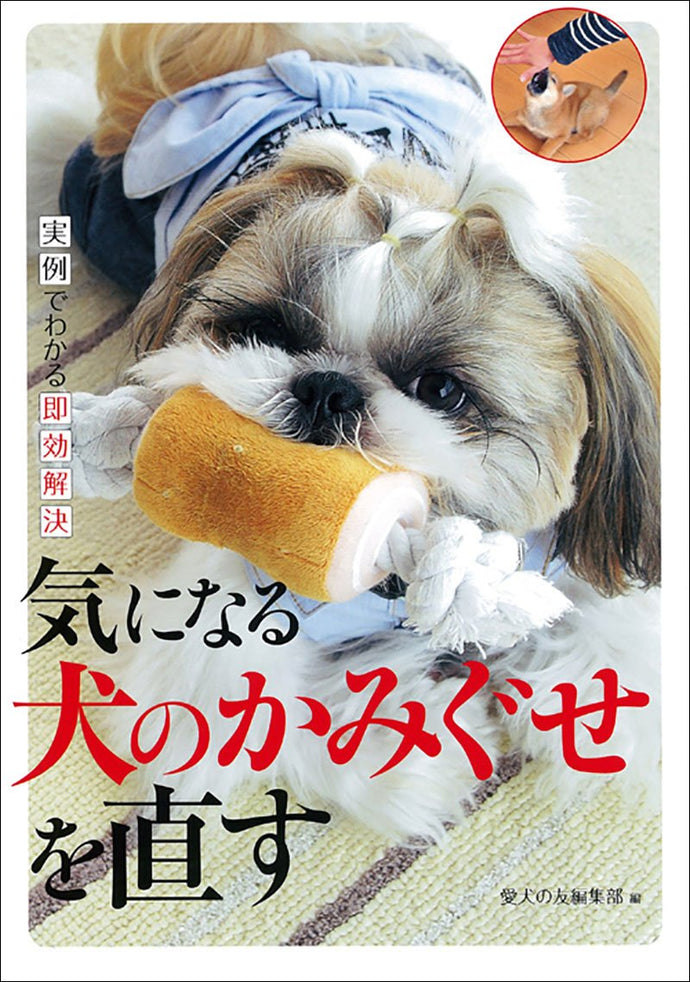 気になる犬のかみぐせを直す