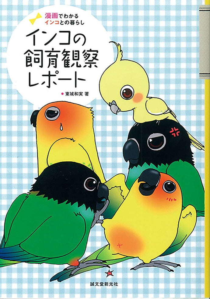 インコの飼育観察レポート